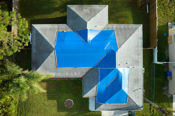 Best Flat Roofing  in Mount Clemens, MI