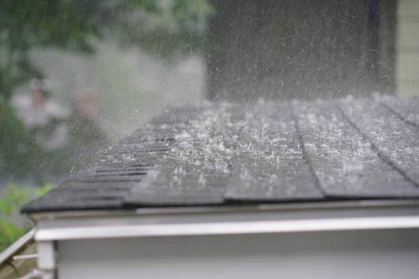 Best Chimney Flashing Repair  in Mount Clemens, MI