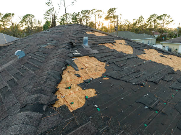 Best Tile Roofing Installation  in Mount Clemens, MI