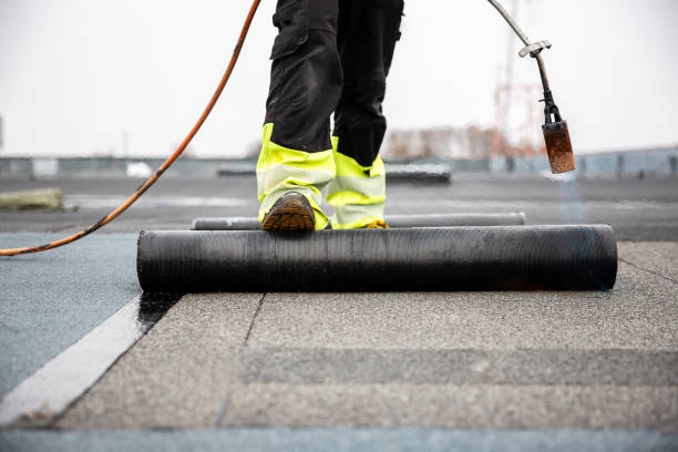 Best Rubber Roofing (EPDM, TPO)  in Mount Clemens, MI