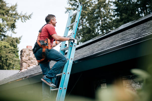 Best Hot Roofs  in Mount Clemens, MI